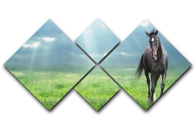 Black horse running 4 Square Multi Panel Canvas